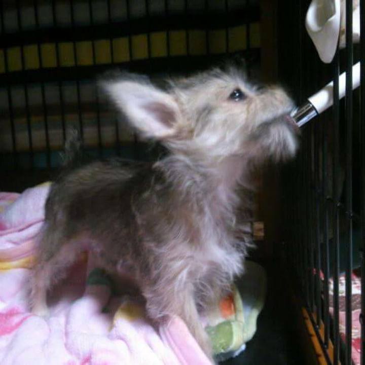 B3a0059e 9451 4f3f 95cc d280de64f183 1525691719314