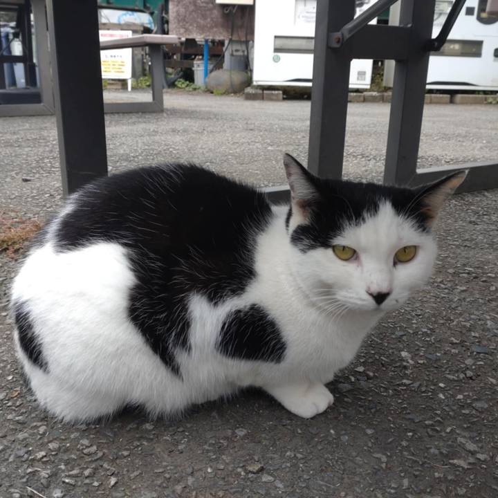 B3a0190c c030 4e8f 8d66 1a791791bffb 1761869464974