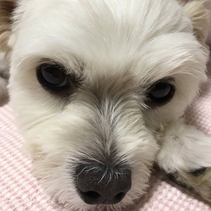 B3a01bdd dbb1 4868 8dec d797d5d62270 1535197802627