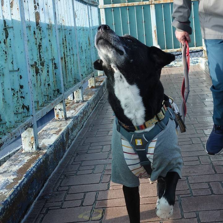 B3a03c45 38aa 4618 886e 713bf0b1ad26 1742170547777