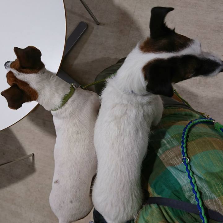 B3a09570 e9f6 4944 8392 1e259c22a4a3 1568430453377