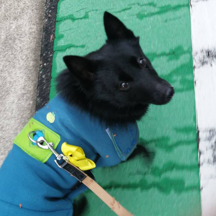 B3a0a1b2 874f 4228 ae73 7b175ca910da 1642977614765