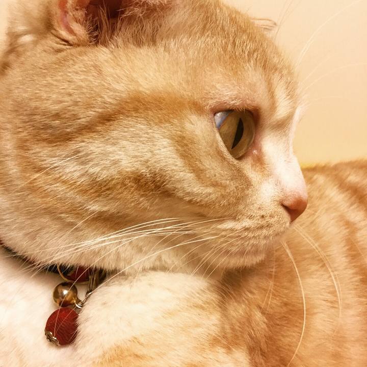 B3a0a59f 9811 4327 828b af638b572ba9 1524587882455