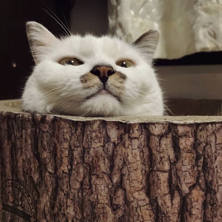 B3a0a71b deef 47ef a03a f0be8e0a619e 1569221297601