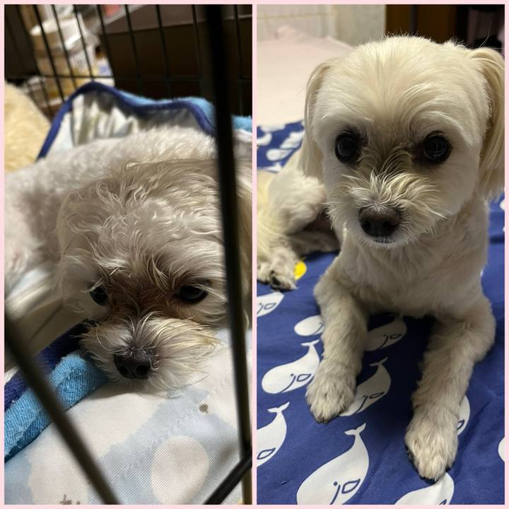 B3a0ae34 5d33 4c31 891f fd8442c7d51d 1722255568563