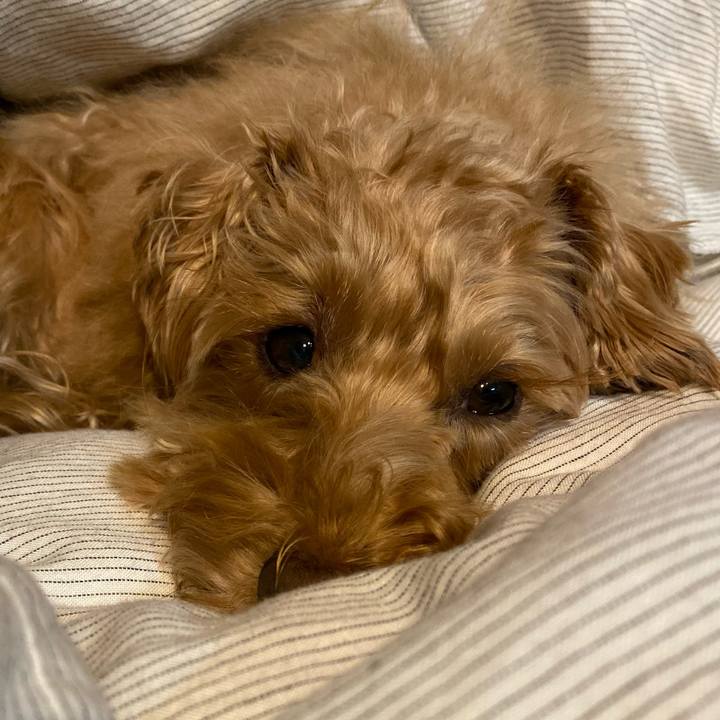 B3a0e2c9 78ff 445d 9bc0 e2c438d08079 1638792124368