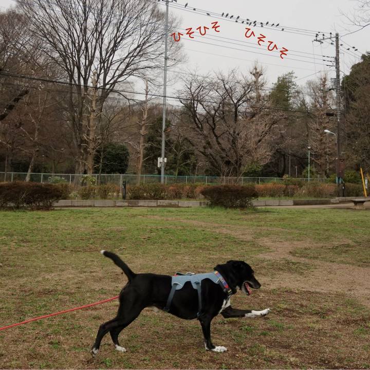 B3a0e9b1 9bcc 4dd4 9ccc 97a8352d5be2 1711759944715