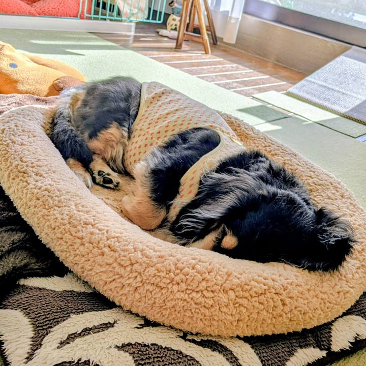 B3a11343 9937 4bd4 9956 ba690eba98a7 1763610611110