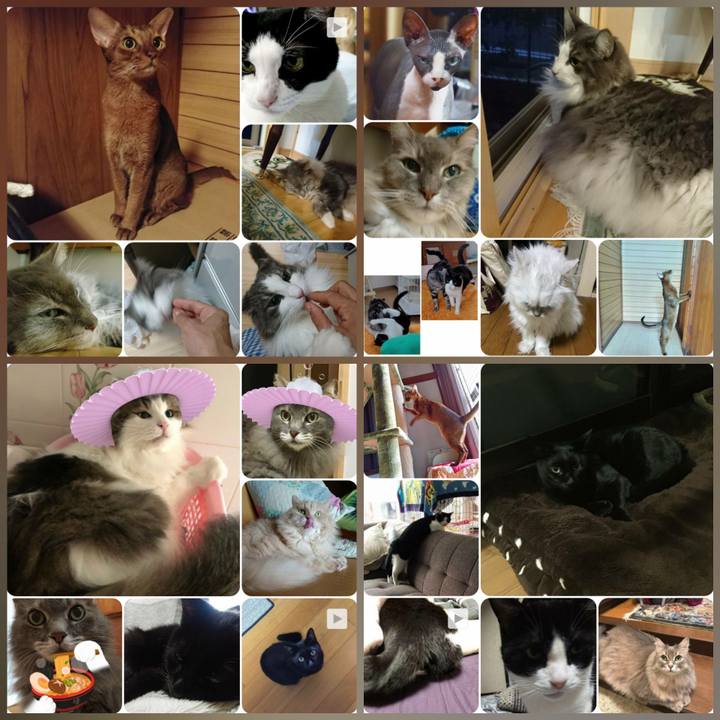 B3a15990 bcf0 4a77 b68c 03e21baa5dad 1569588302557