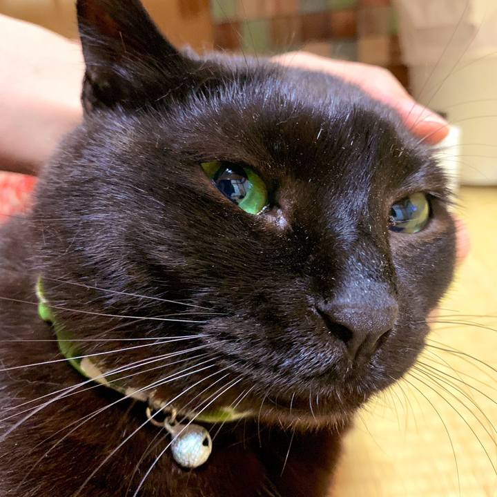 B3a182dd 2108 4f5a 910f 01cfedcb88a2 1558276375788