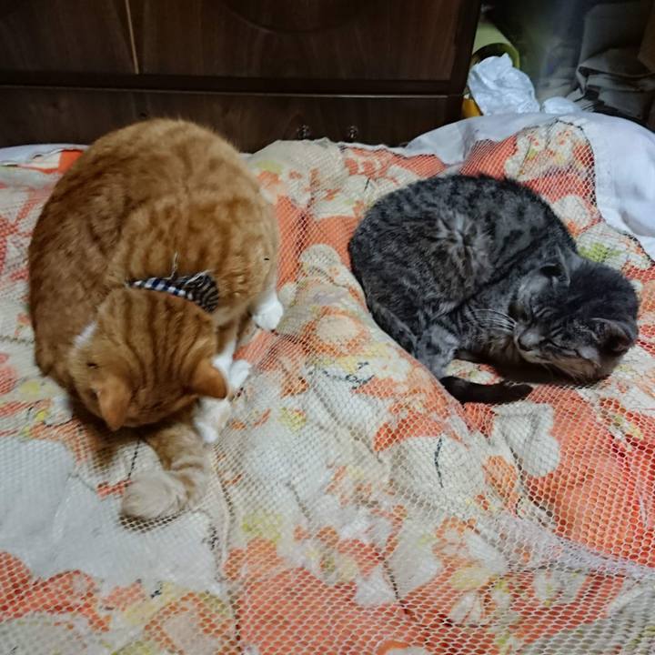 B3a1cc8f e1e2 4971 ac7f 3c77b85051aa 1603795613439