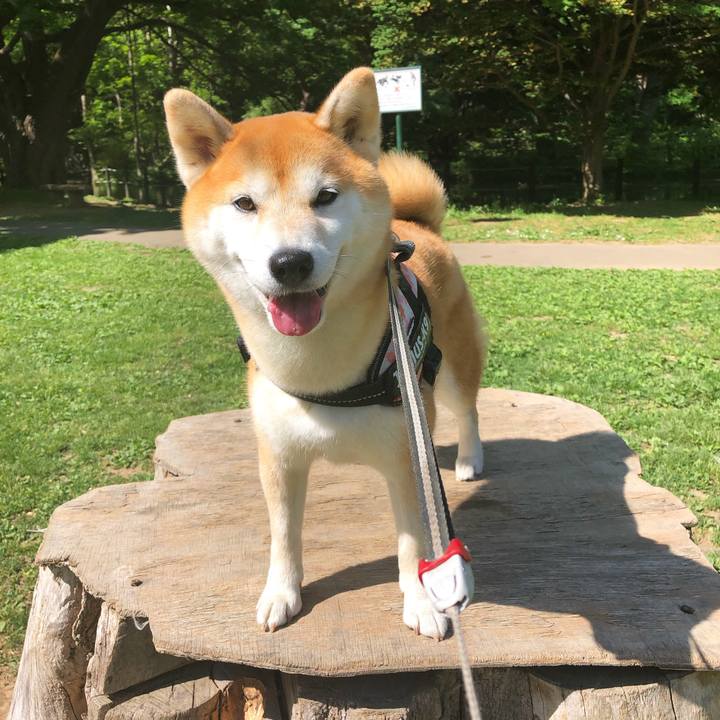 B3a1d43a 2cfb 459e baaf 736769e5830e 1559352998273