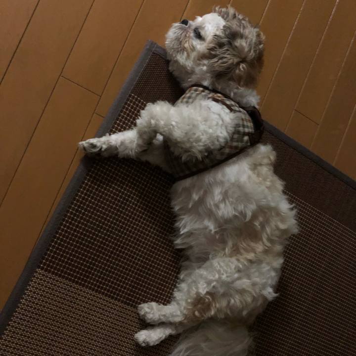 B3a1d706 5ec6 4700 bcfe 674fd5a499d8 1537997759508