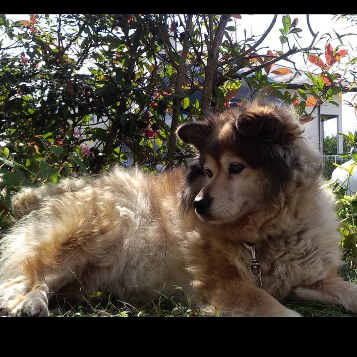 B3a20414 dc4a 4efe afac 1f214cc4a690 1588574351094