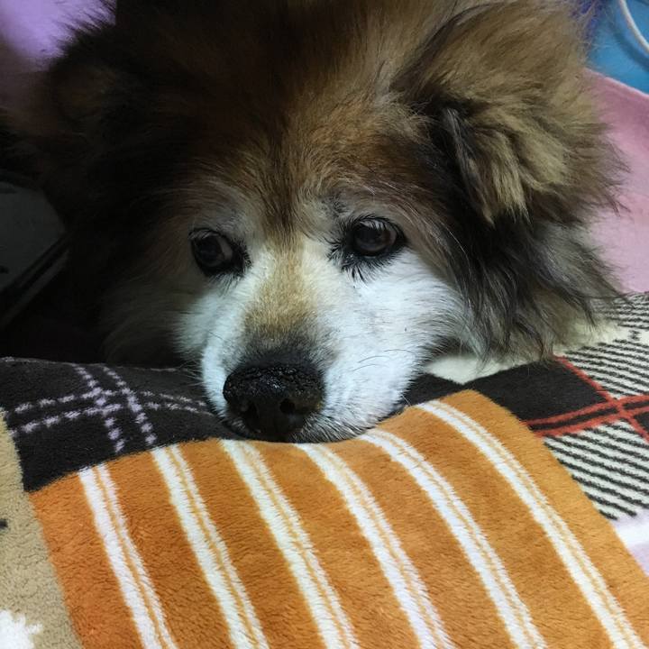 B3a20c2a cbbb 4a8a 8375 b70b80626f97 1573238523309