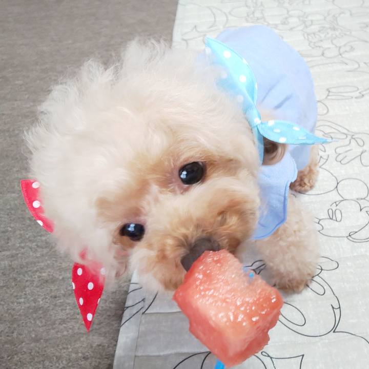 B3a21999 8e23 40a2 ab01 1d8938a04b37 1566448430294