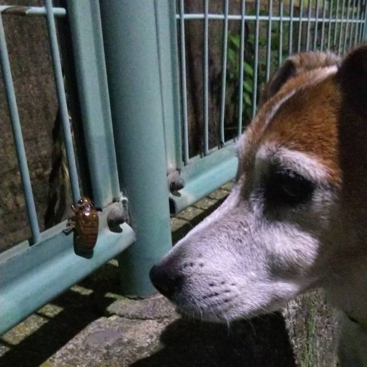 B3a220e6 ccdb 4027 862e 0f6991d381a9 1531660893191