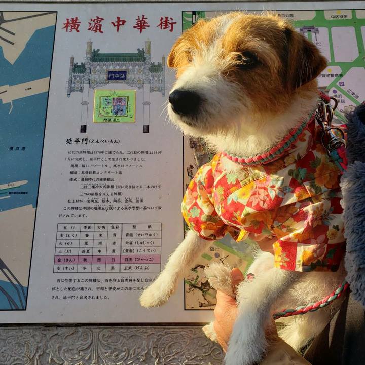 B3a230fd f437 401b b010 ffb572b47c8b 1578032409351