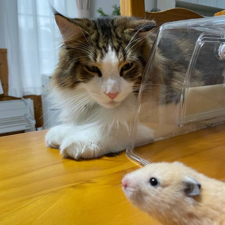 B3a23e3b 4c14 47d3 ad71 836b5e1e99c9 1653207106932