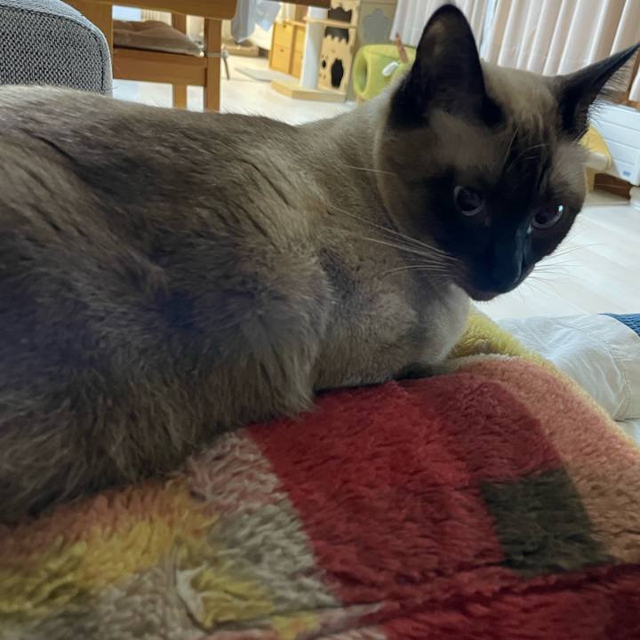 B3a26266 d711 4e2c 85c2 0d7021df326b 1758227826804