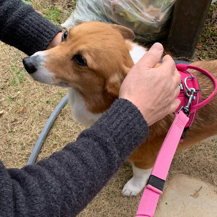 B3a2743d 7a2d 4241 a6fc 218d3016cf70 1709185746006