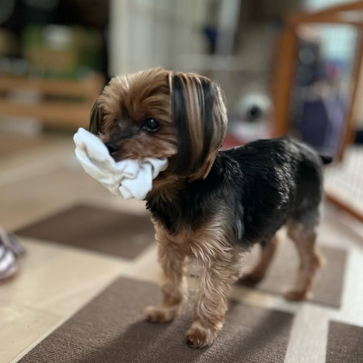 B3a278d7 c5eb 4ce1 9e7a 2d85bbfa3677 1720095621145