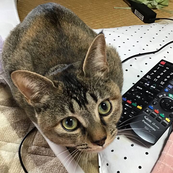 B3a28490 a1ca 4281 a1a0 3e1a894e3aa8 1579827071201