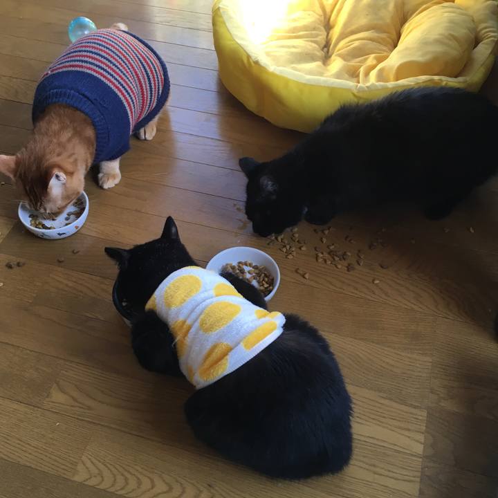 B3a28e61 b8c4 451b 832c b9a8cbbbb880 1541290020285