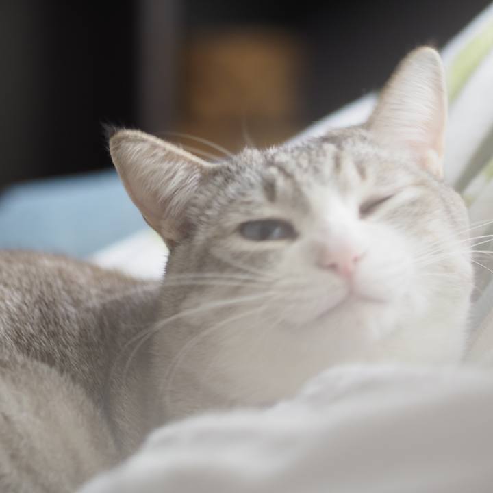 B3a2cefd 7168 42fe a52c 3060c14bb7b9 1613687693023