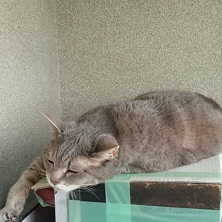 B3a2f50c 7391 4654 96ed 386057c7b790 1655445200056