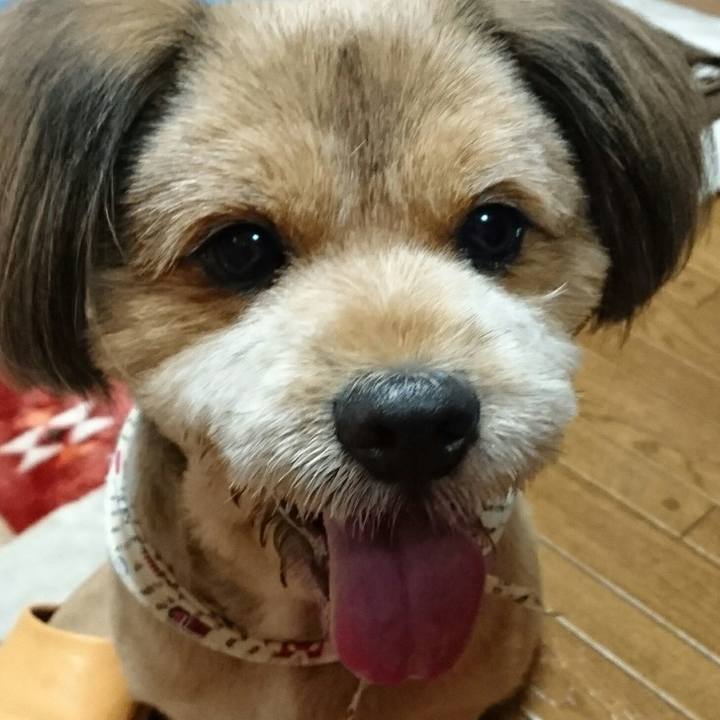 B3a33ae5 a3f4 4ee5 8eea 2911042fb807 1540124755862