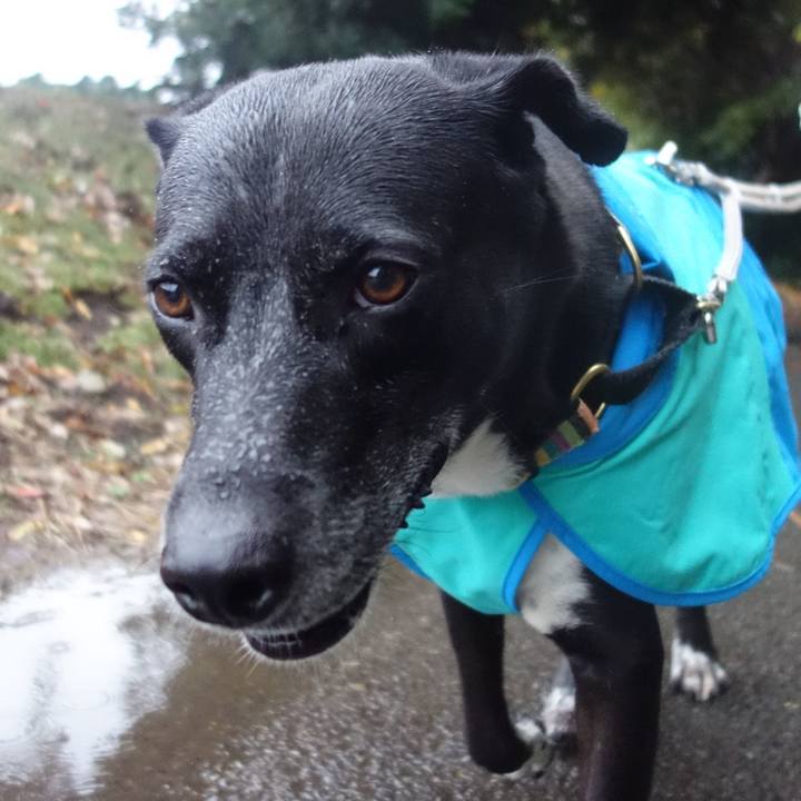 B3a3a653 3a6e 4cee aee6 1a29a3c3f664 1668472866364