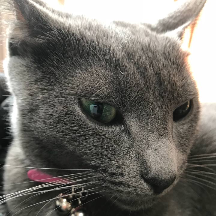 B3a3a935 34c5 4042 9c28 833fb0fdc49f 1521848094163