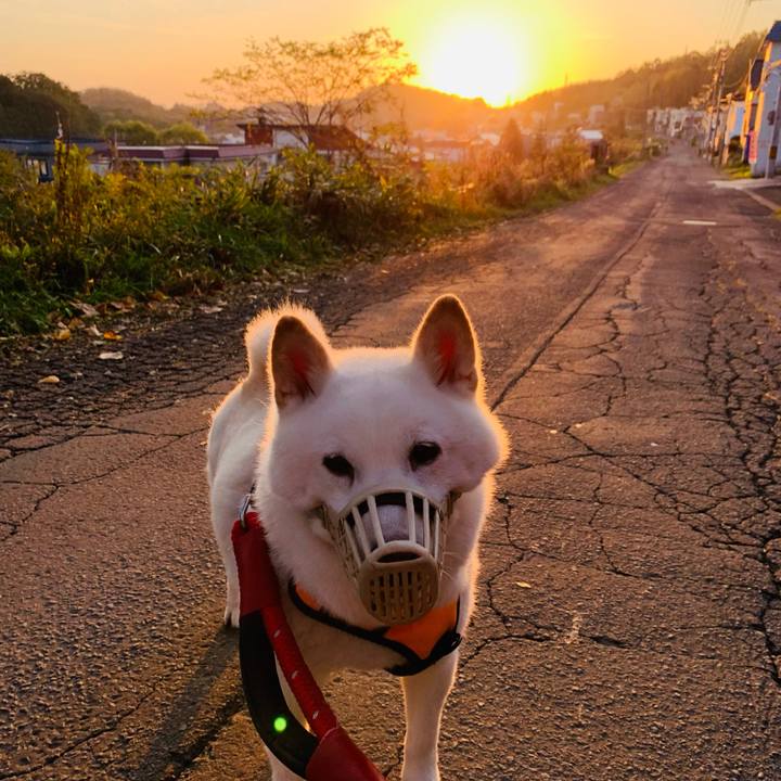 B3a3e1e3 d6b6 40a1 84a4 47133f0f2402 1666302395593