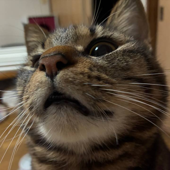 B3a3f4e7 dac1 4bce 83c6 bd4a08bbc814 1767690733456