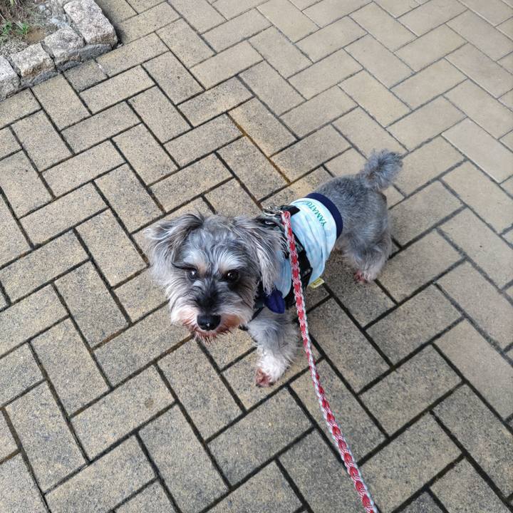 B3a47465 534e 4841 a68e d1f5b47f4cab 1692573248843