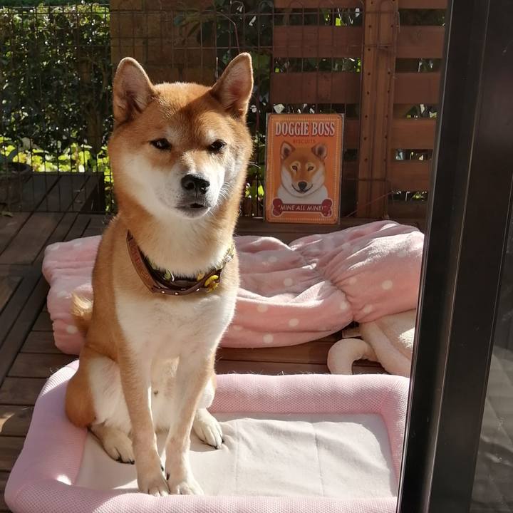 B3a48a11 41e8 498c 9eea ecf6911f0a27 1603689218974