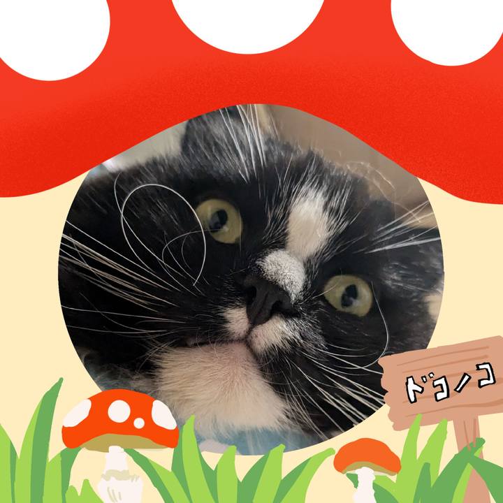 B3a4f01a 7ecd 481c a604 44a49d09b9d3 1729553078002