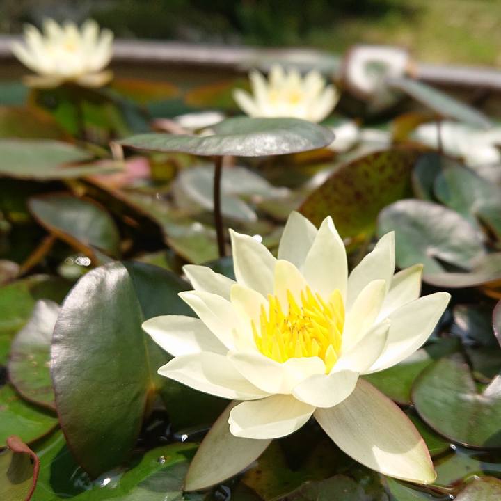 B3a4ffa6 85a5 4f6e b3e2 96372b43e247 1653362306329