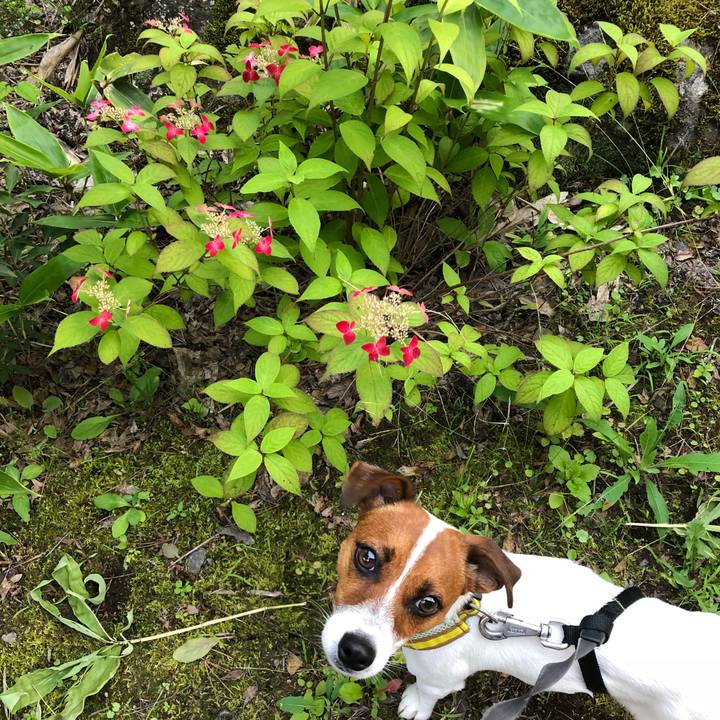 B3a50da8 e3e8 4f18 b926 e955d898443a 1531138812770