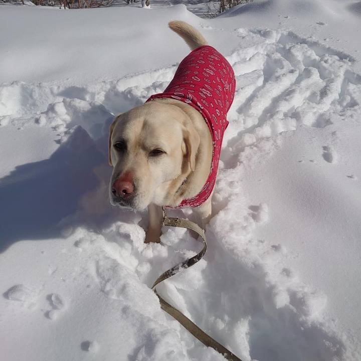 B3a5314e 0a0b 419d b815 475a80ff7972 1644837134112