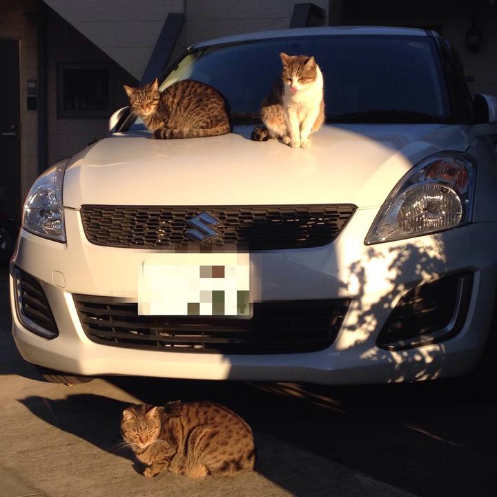 B3a5405e 000b 47e4 9524 37be7db07318 1512550536944