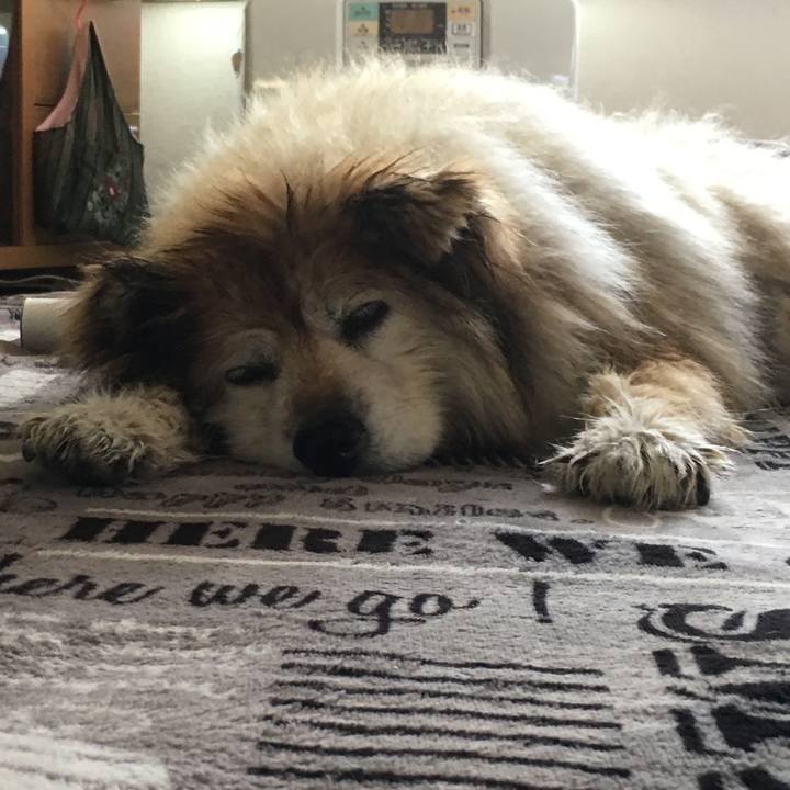 B3a55bbf 39ec 41af 90ed 3a3aa5375849 1617079612633