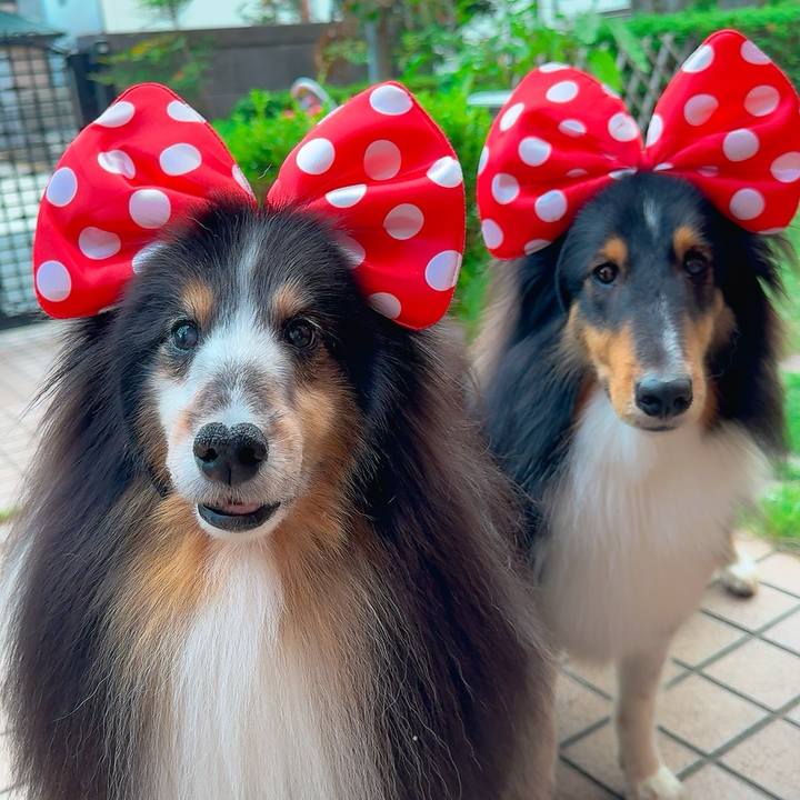 B3a57f9b 391d 4278 864a afd10e425dd8 1759245051443