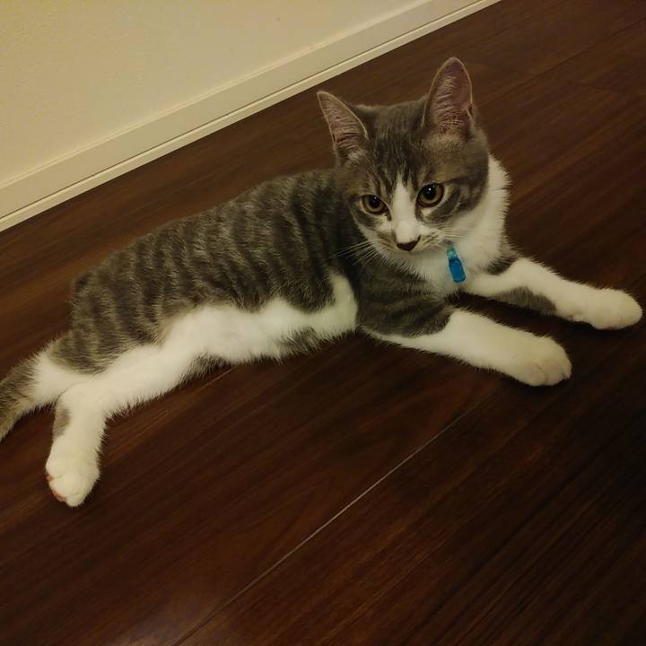 B3a5888a 57e3 461d 8ed5 9b940f57c30a 1566576928900