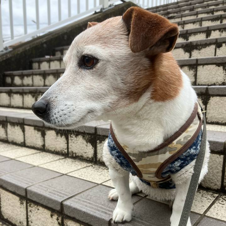 B3a5be4b 7808 4d21 92df bcac2318588e 1770858857029