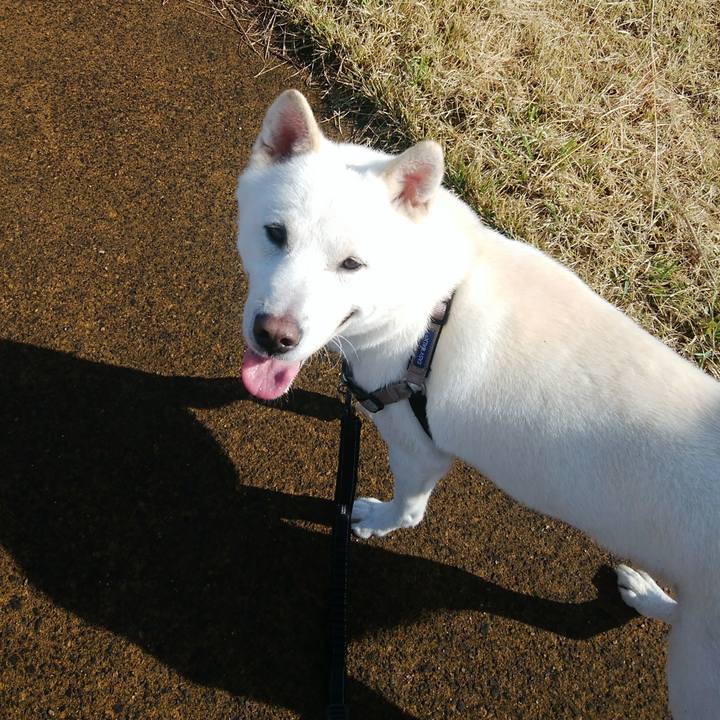 B3a5be61 0f8c 4c09 b202 75894c4e5285 1618704015556