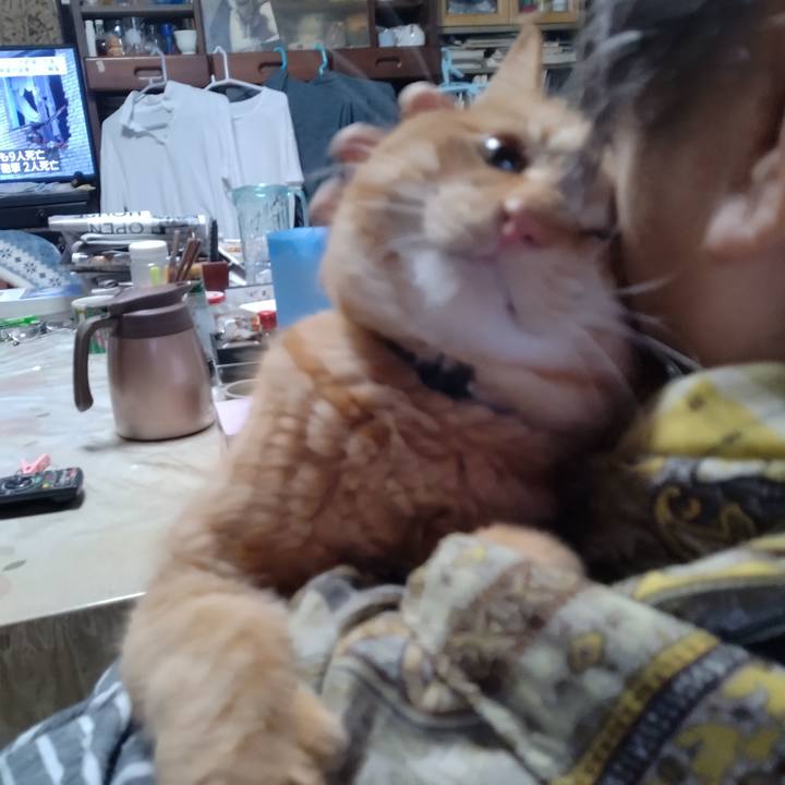 B3a5f0b9 ab0a 49c4 9137 40c77b00cfbe 1670537675288