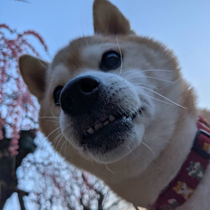 B3a6075a 563d 4420 bcfb 586a11e4fade 1771504856639