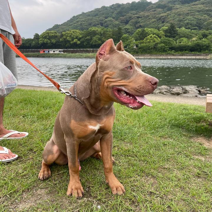 B3a62655 8424 4119 b77d 2fdb5b346821 1655992266228